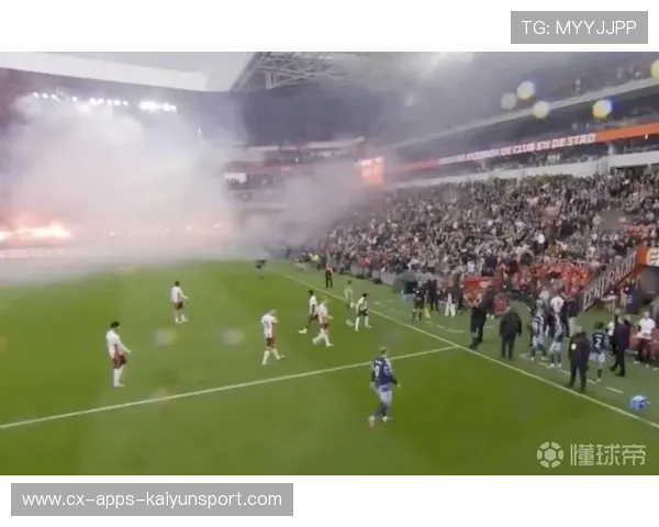 球迷暴走:现场冲突导致比赛短暂停赛 球迷暴走:现场冲突导致比赛短暂停赛